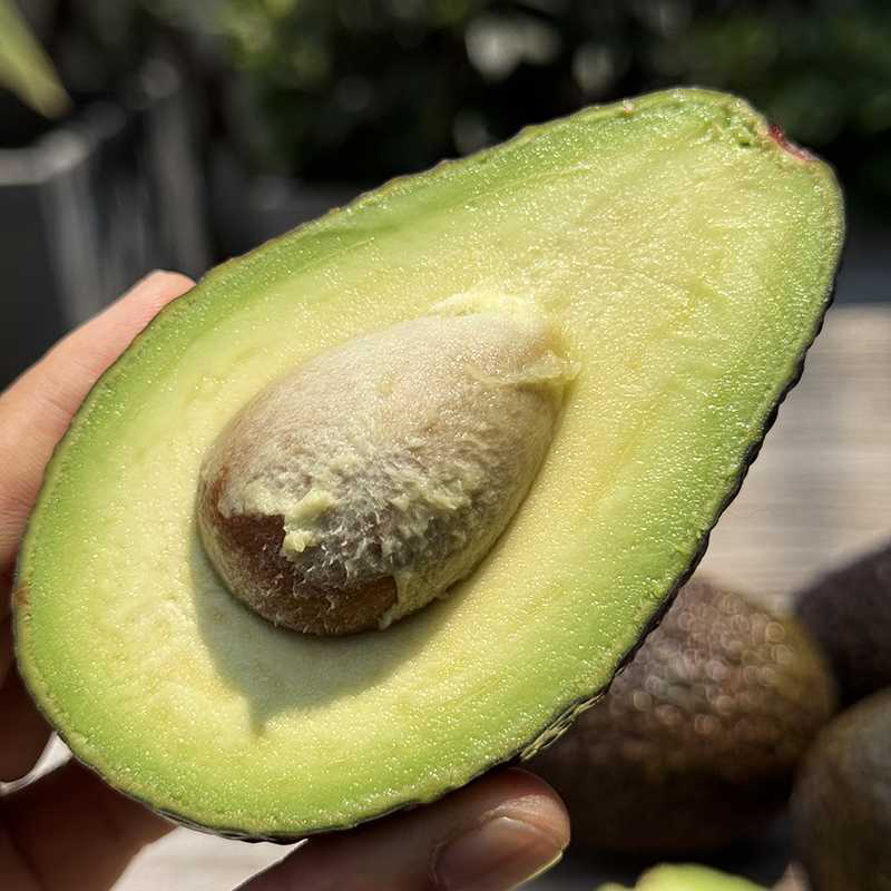 抱朴园哈斯牛油果原生态应季时令新鲜水果当季鲜果即食鳄梨熟果