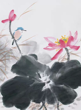 纯手绘三尺国画荷花廉洁水墨挂画