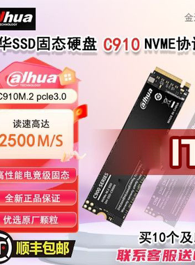 大华1T固态硬盘m.2 C910 1tC910 512g256g全新正品原装台式机