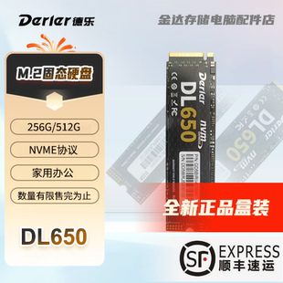 办公家用 256G512G全新正品 德乐固态硬盘m.2 DL650