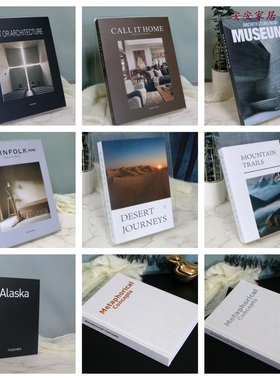 现代简约纸质仿真书道具书假书装饰书背景墙书架软装饰品工艺品