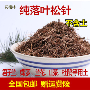 花禧林长白山落叶松针土纯松针不含土腐叶酸性蓝莓米兰杜鹃君子兰