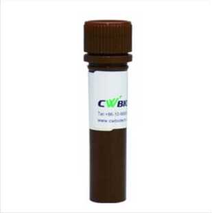 康为世纪 实时荧光定量PCR的预混体系 qPCR UltraSYBR Mixture