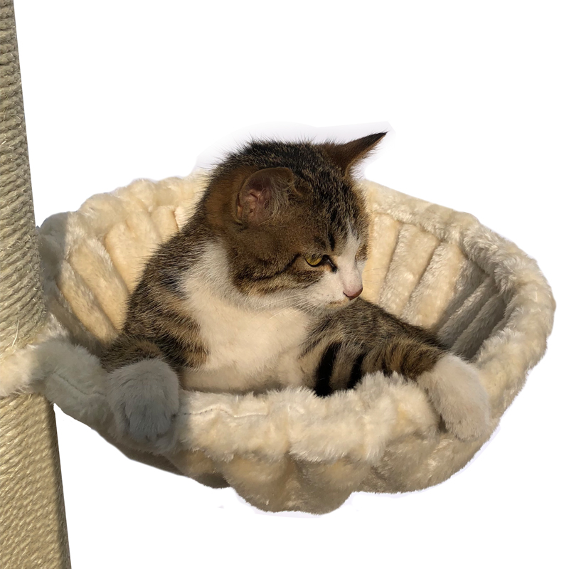 猫爬架材料大猫兜太空舱猫窝垫子