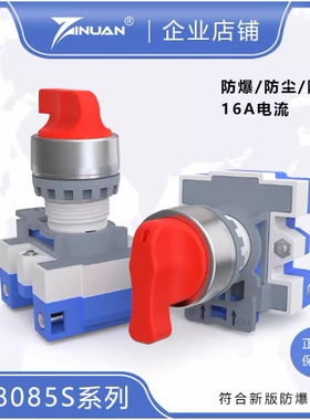 JS8085S-A防爆防尘防腐万能转换开关二档三档银点开闭两开孔22mm