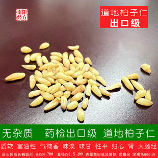 南阳经方 道地药检出口级柏子仁中药材 无杂质 油足大粒柏子仁