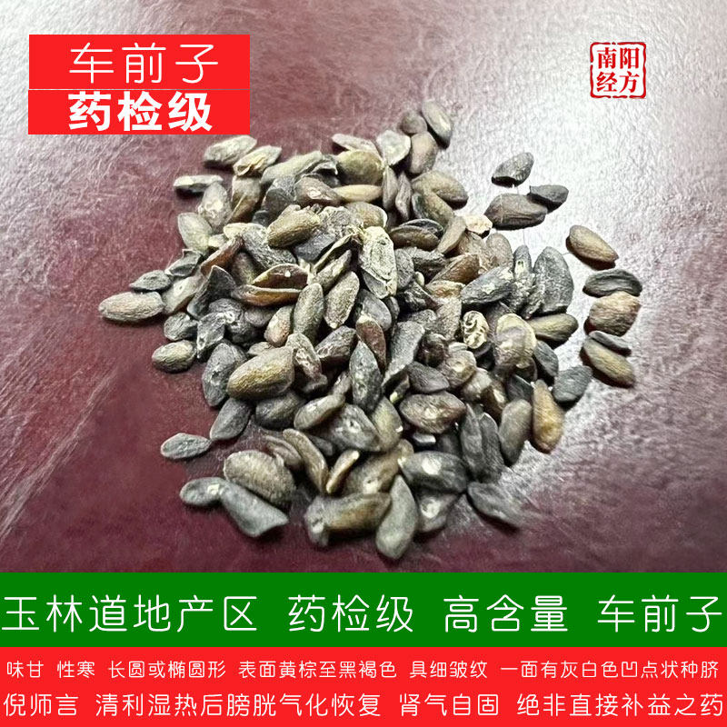 南阳经方 玉林车前子中药材 无硫熏 药检级高含量　道地车前子 - 实物图