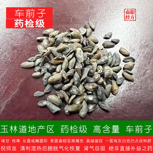 南阳经方 玉林车前子中药材 无硫熏 药检级高含量　道地车前子