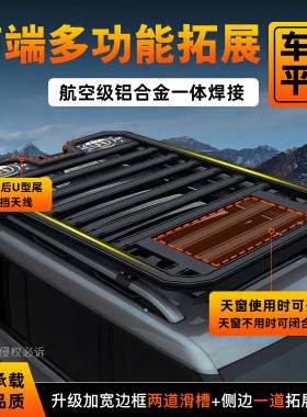 威马EX5-Z EX6 W6斯威大虎EDi G01FF G05Pro G01 X3 X7车顶行李架