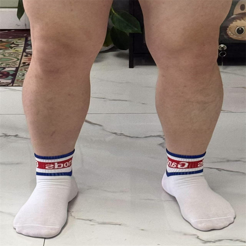虎尔先生夏季男士纯棉薄款潮牌运动休闲短袜吸湿透气百搭字母拼色