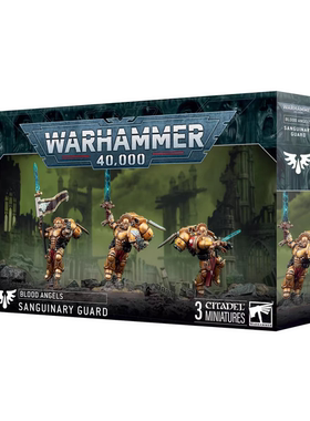 战锤 40k 圣血天使 圣血卫队 星际战士 Sanguinary Guard