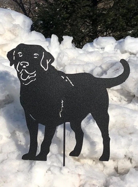 忠诚的拉布拉多犬户外看