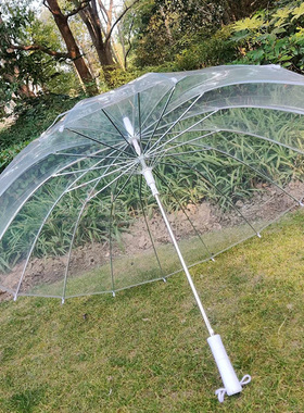 小清新16骨透明雨伞男女加大长柄伞明星网红学生透明伞定制广告伞