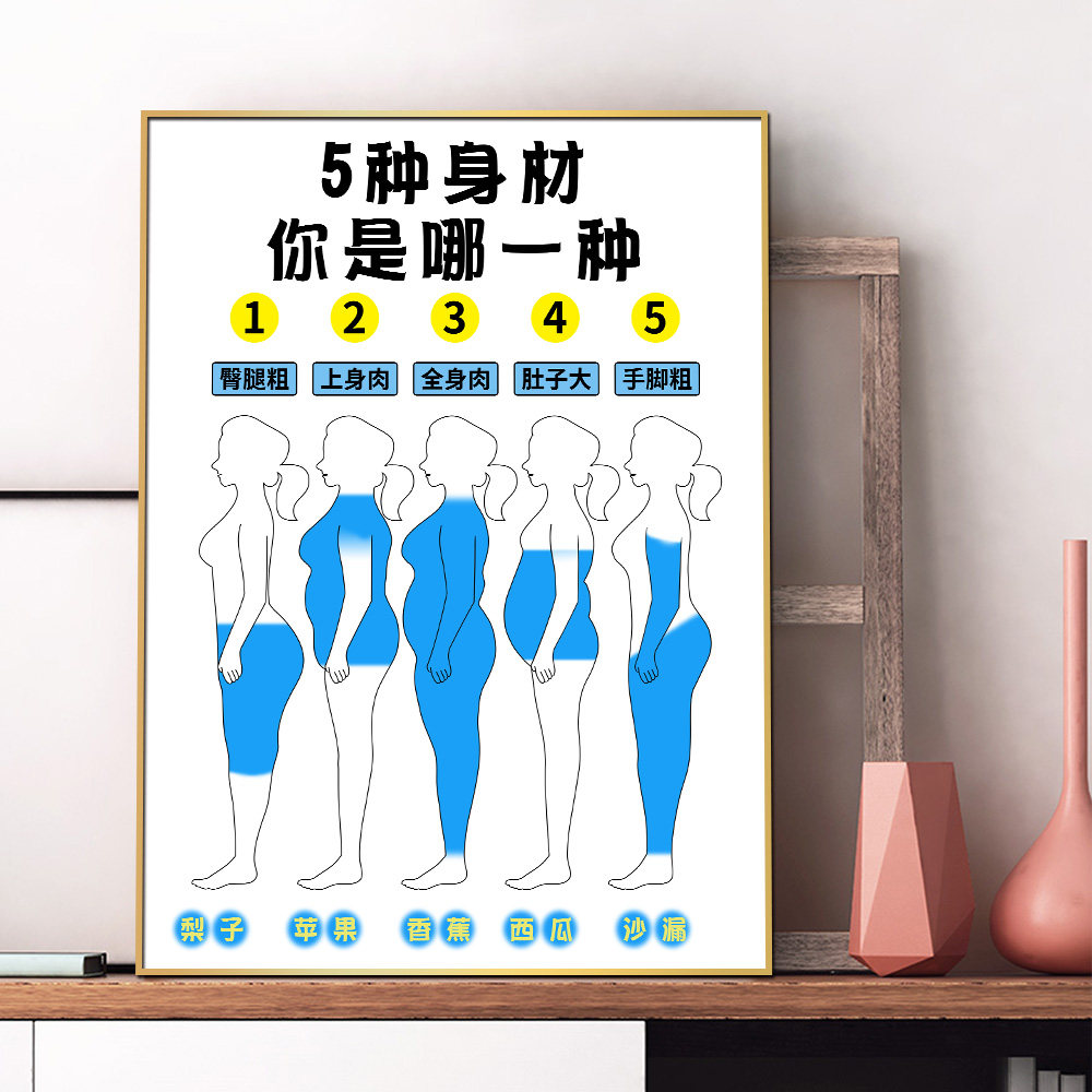 5种身材你是哪一种广告宣传海报美容美体肥胖瘦全身肉装饰kt挂画