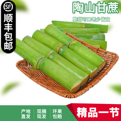 陶山甘蔗正宗温州特产青皮绿皮手撕果蔗儿童水果一个节5斤包顺丰