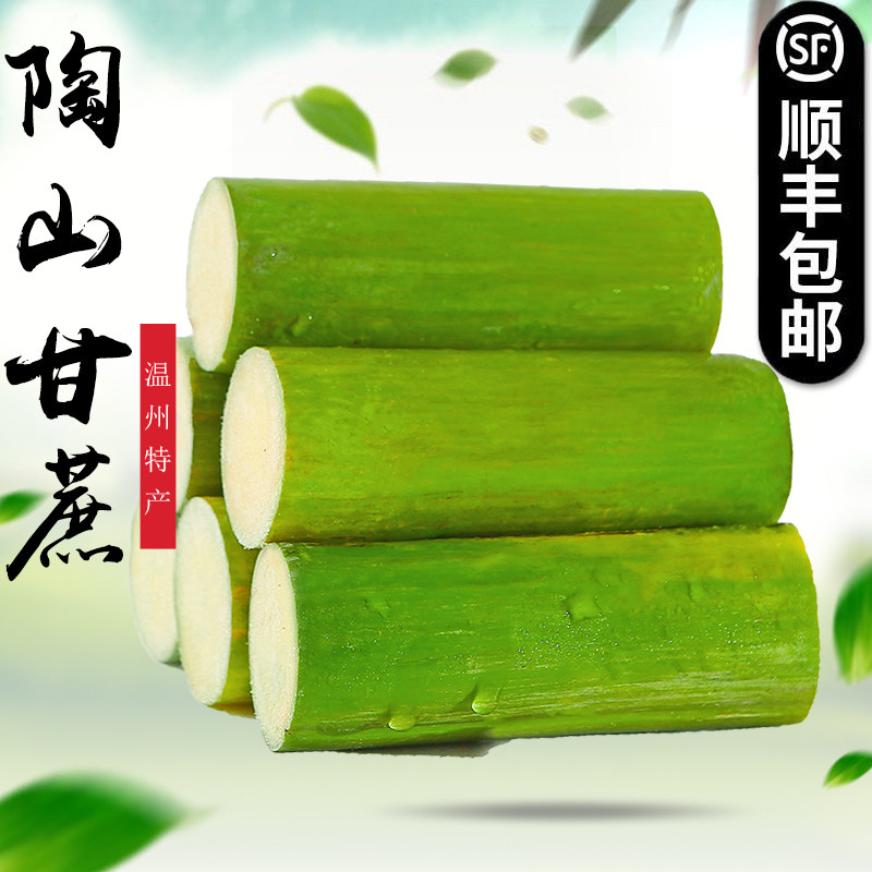 正宗陶山甘蔗绿皮脆皮果蔗温州特产新鲜当季孕妇儿童水果5斤装