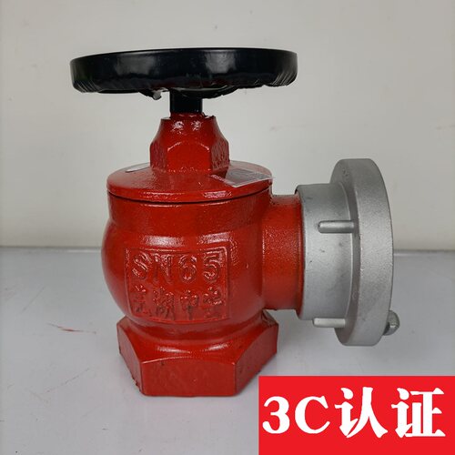 大体室内消火栓65旋转减压稳压消防栓箱阀门2寸2.5寸开关手轮阀门 - 封面