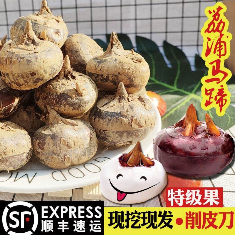 广西荔浦马蹄荸荠送削皮刀顺丰