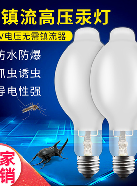 高压汞灯抓捕虫蟋蟀蝈蝈飞蛾蝴蝶紫外白光灯诱大功率螺口防水防爆
