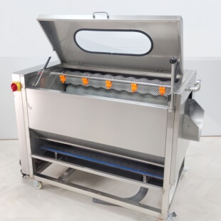 土豆去皮机商用全自动毛刷式 芋头姜红薯莲藕电动清洗削药材脱皮器