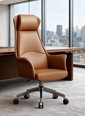 2025新款椅子W02电脑椅护腰书房办公椅真皮老板椅家用人体工学椅