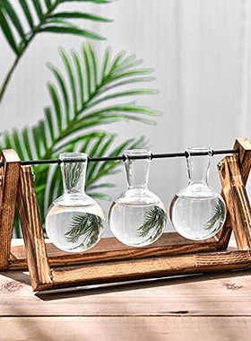 原木水培容器创意植物玻璃花瓶