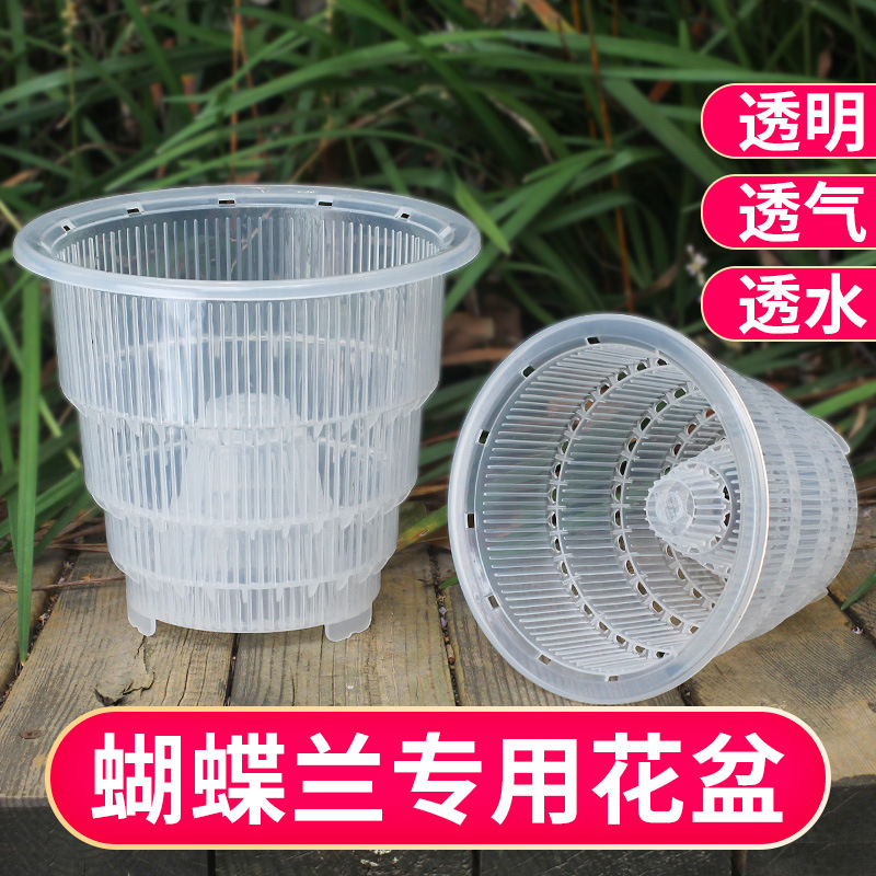 蝴蝶兰专用花盆 Hudielanzhuanyonghuapen 淘宝 天猫精选商品 百世得巴适同城 赛百惠返利网 天天特价 购物省钱导购返利网站