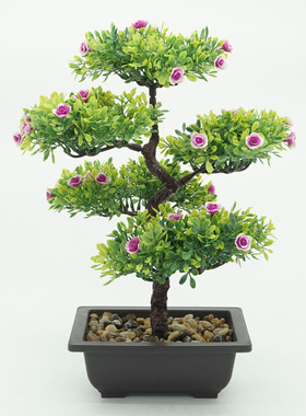 房间装饰仿真花绿植盆栽工艺品