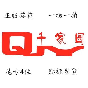 【一物一拍】千家园直播间按米下单福建正版茶花名贵品种山茶盆栽