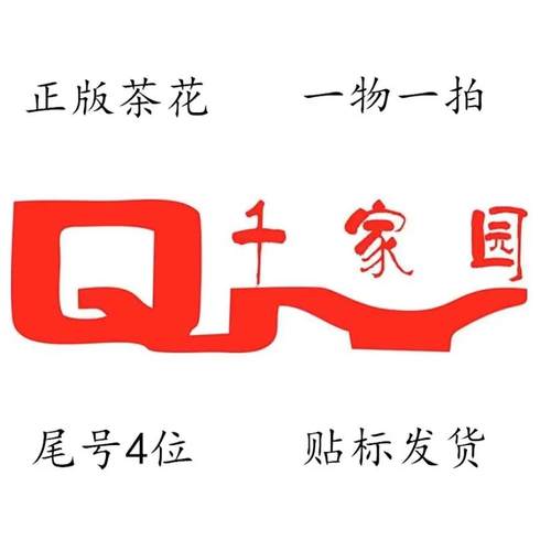 【一物一拍】千家园直播间福建正-版茶花品种山茶盆栽