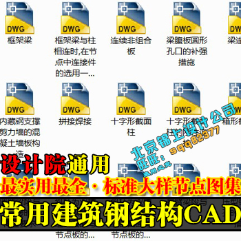 设计院常用建筑钢结构设计 标准节点大样CAD图集图纸施工图土木建