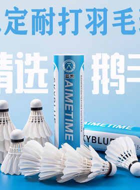 AIMETIME羽毛球6只装耐打耐用鹅毛飞行稳定训练球学生专业比赛球