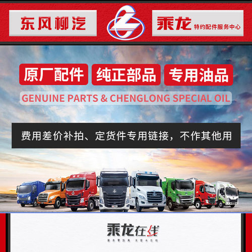 乘龙H7全车原厂定货件