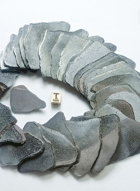 新疆艾丁湖铁陨石科学切片标本