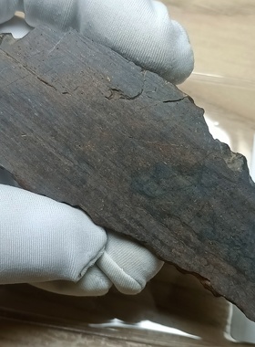 西北非NWA石陨石科学切片L或H型