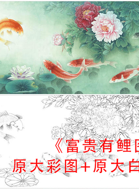 工笔白描牡丹鱼底稿李晓明富贵有鲤图线描临摹实物打印稿KA22