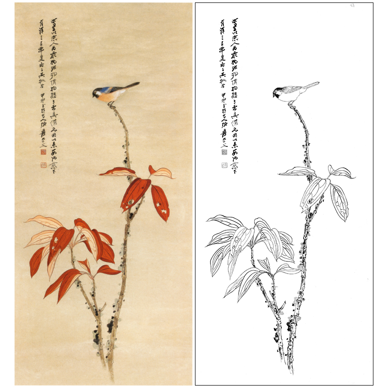 张大千竖幅工笔花鸟白描底稿《红叶青禽》临摹勾线高清打印稿QD29