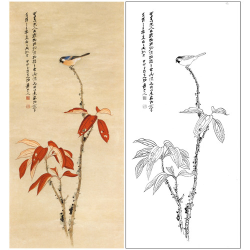 张大千竖幅工笔花鸟白描底稿《红叶青禽》临摹勾线高清打印稿QD29