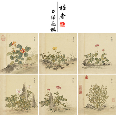 余省工笔画白描底稿海西集卉册小品一套六幅尺寸40*42厘米MT22