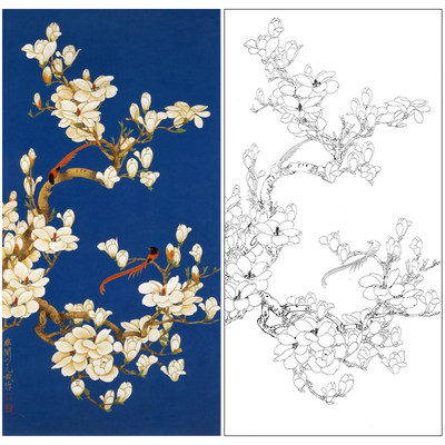 于非竖幅工笔花鸟白描底稿《玉兰绶带》临摹勾线高清打印稿