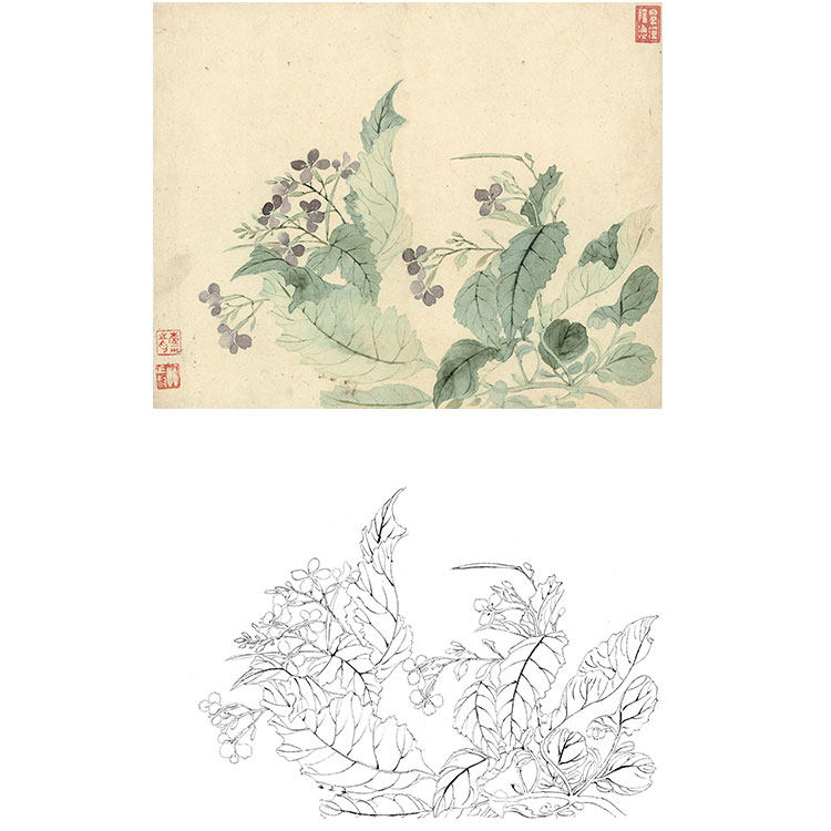 工笔画白描底稿恽寿平没骨花卉小品实物打印稿尺寸可选sp13