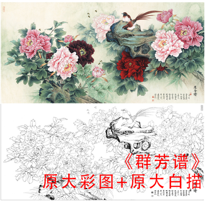 工笔画白描底稿李晓明牡丹花线描