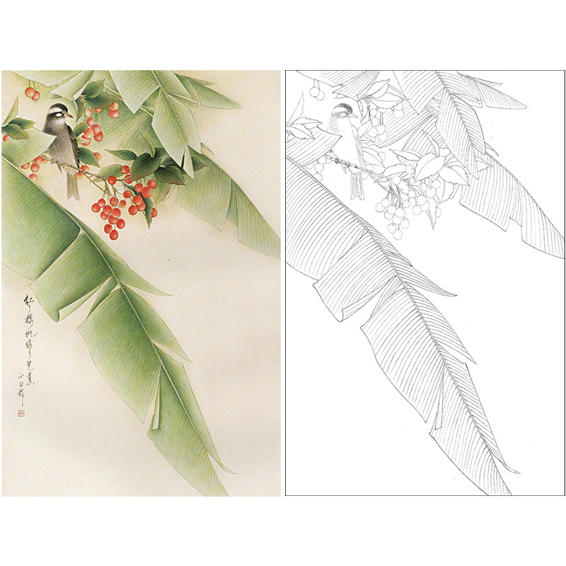 【无步骤】竖幅工笔花鸟画白描底稿《红了樱桃绿了芭蕉 》lb08