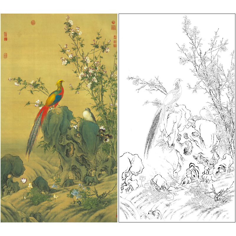 【大彩图】郎世宁工笔画白描底稿《锦春图》锦鸡高清打印稿LS02