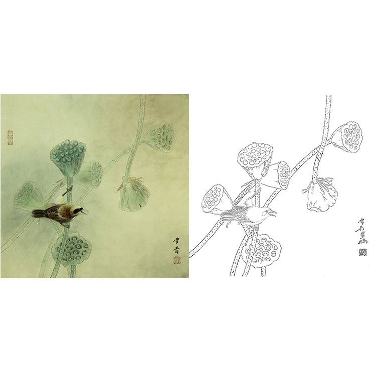 工笔画白描底稿实物勾线白纸打印稿龚雪青清露莲蓬xq25