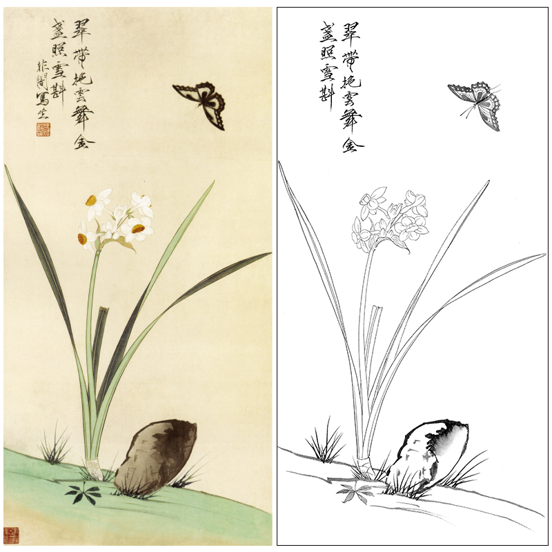 于非闇工笔花鸟白描底稿《水仙花蝴蝶》临摹勾线高清打印稿YF38