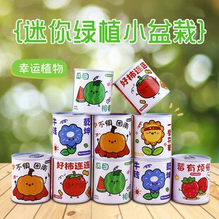 儿童种植小盆栽植物易拉罐款桌面迷你绿植好养学生观察趣味小礼物
