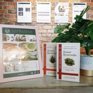 日本AnimalAyurveda草本泥护理宠物猫咪狗狗有机草本抚养泥SPA