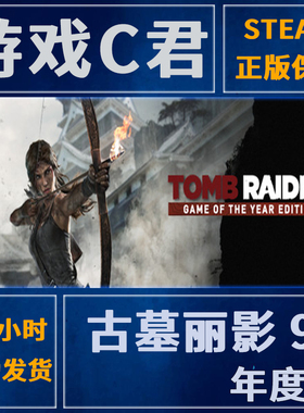 Steam正版游戏 古墓丽影9 年度版 Tomb Raider GOTY 国区 全球Key