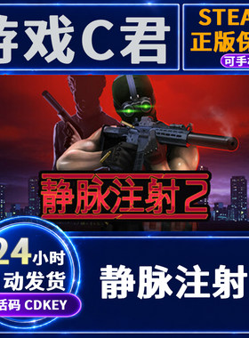 Steam游戏正版 静脉注射2 Intravenous 2 激活码 国区 全球 cdKey